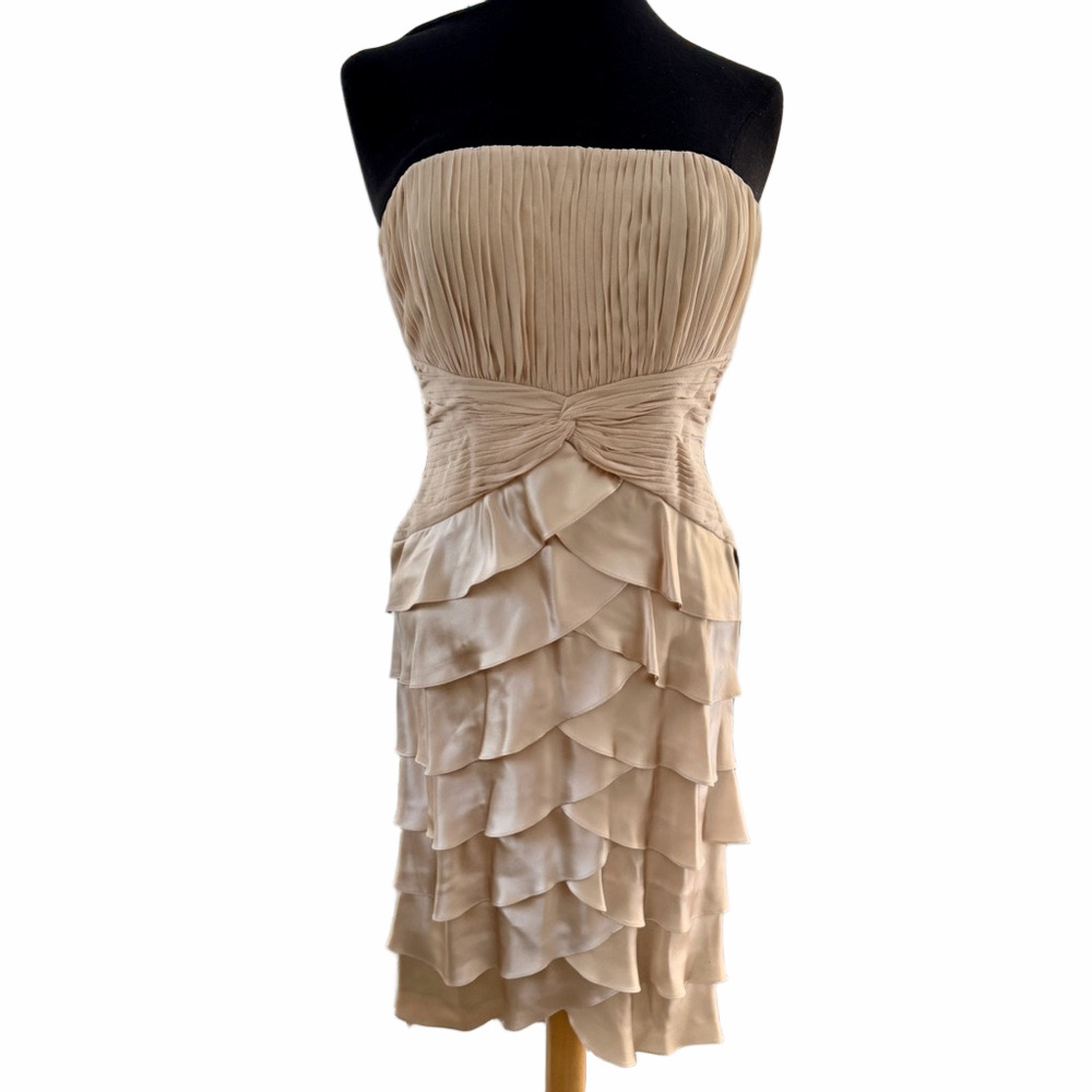 ADRIANNA PAPELL Tiered Shutter Dress Silk Jacket Size 6P Champagne Strapless NEW - Picture 2 of 16